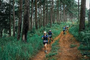 BIB: 
                            <button type="button" onclick="openModal(25659731)" class="btn btn-primary btn-sm float-right btn-popup" data-toggle="modal" data-target=".modal-high-quality">
                        <i class="fas fa-shopping-cart"></i> Add to Cart
                    </button>
                                            <button type="button" onclick="isThisMe(25659731, true)" class="btn btn-success btn-sm float-right btn-popup btn-isme hidden" data-toggle="tooltip" data-placement="bottom" title="นี่คือรูปของคุณใช่ไหม คลิกที่นี่เพื่อเอาเข้าอัลบั้ม">
                        <i class="fas fa-plus"></i> Add to album
                    </button>
                    <button type="button" onclick="isThisMe(25659731, false)" class="btn btn-warning btn-sm float-right btn-popup btn-isnotme hidden">
                        <i class="fas fa-ban"></i> Remove from album
                    </button>